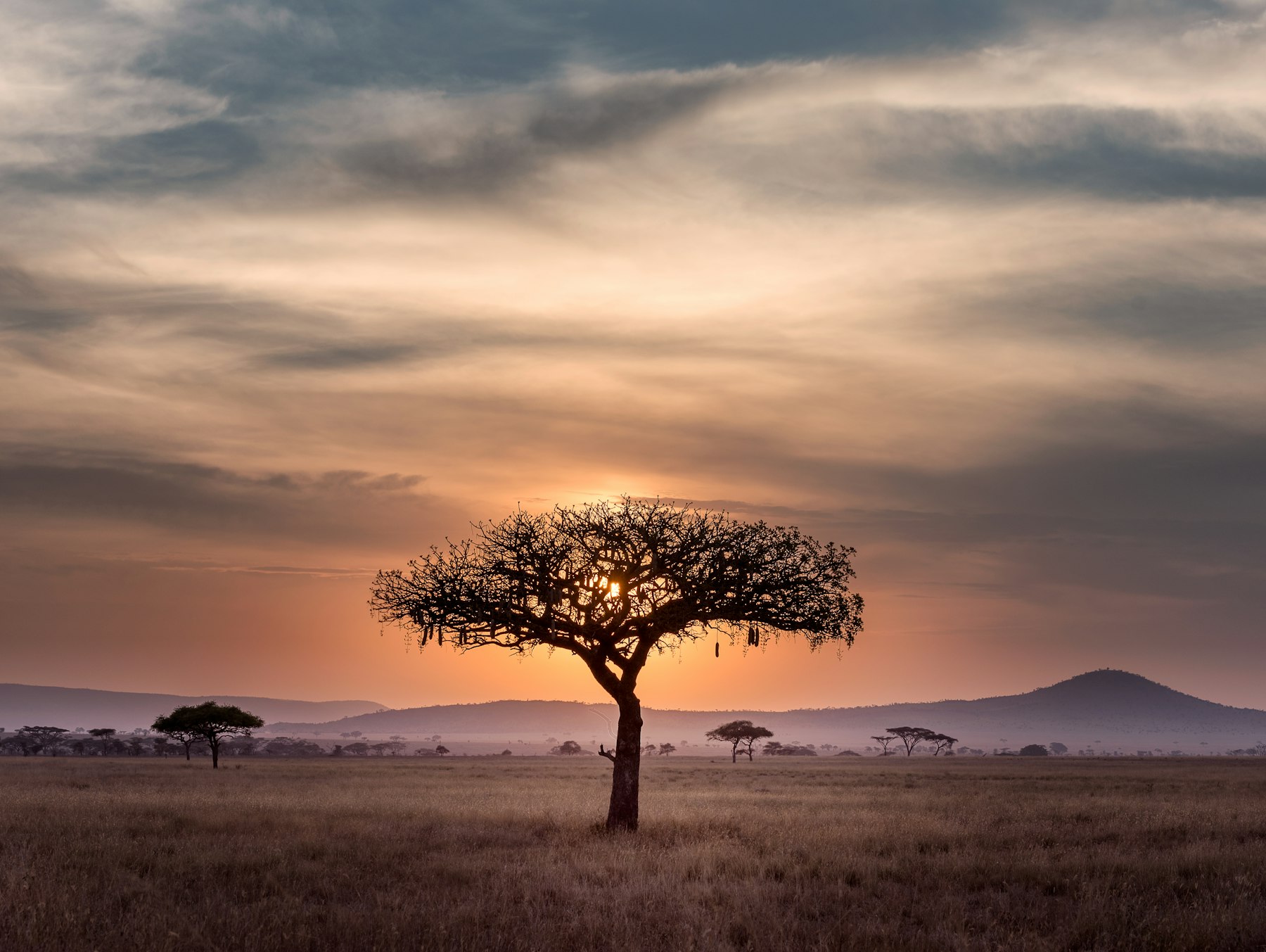 Luxury Safaris