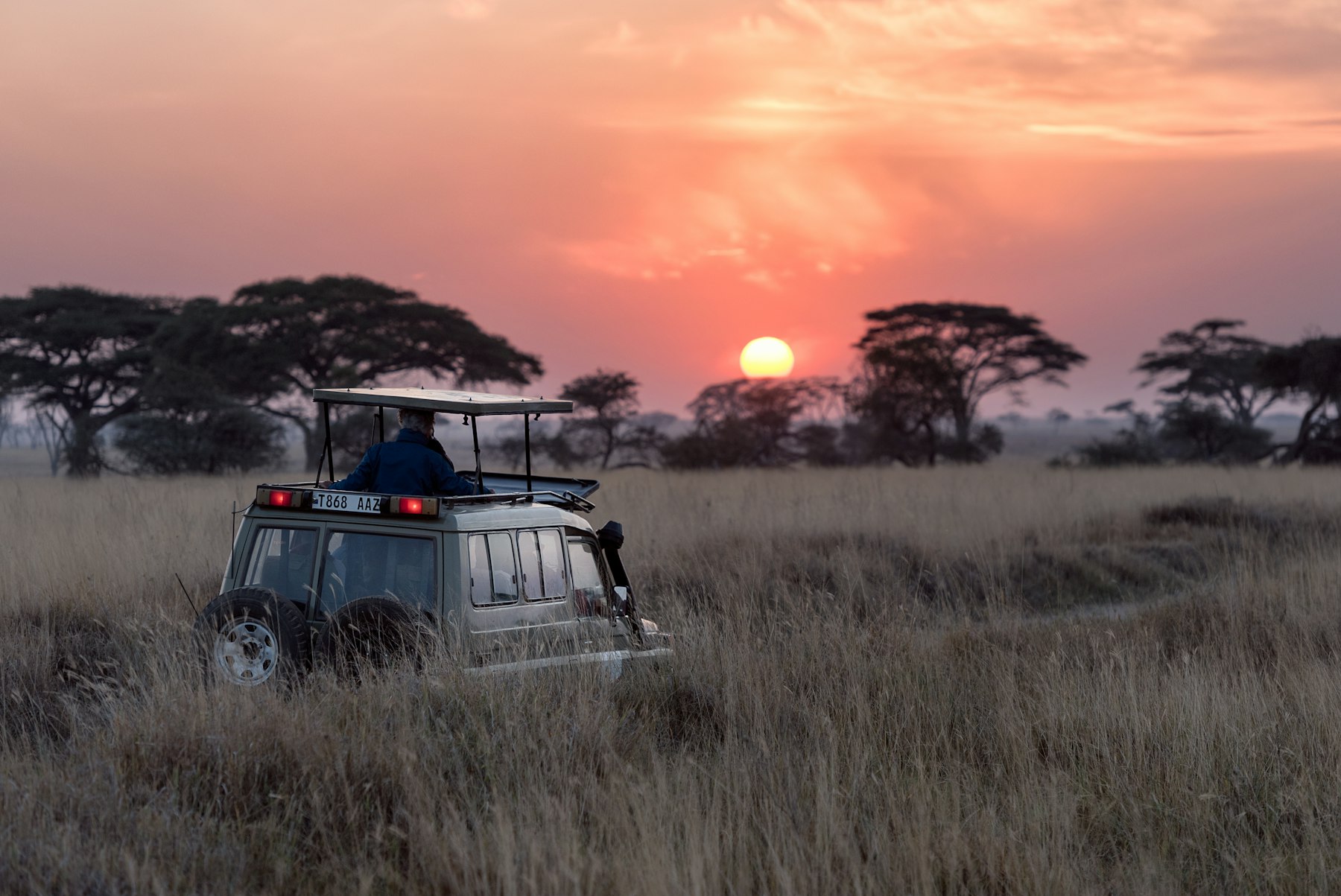 Private Safaris